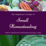 The Beginner's Guide to Small Homesteading