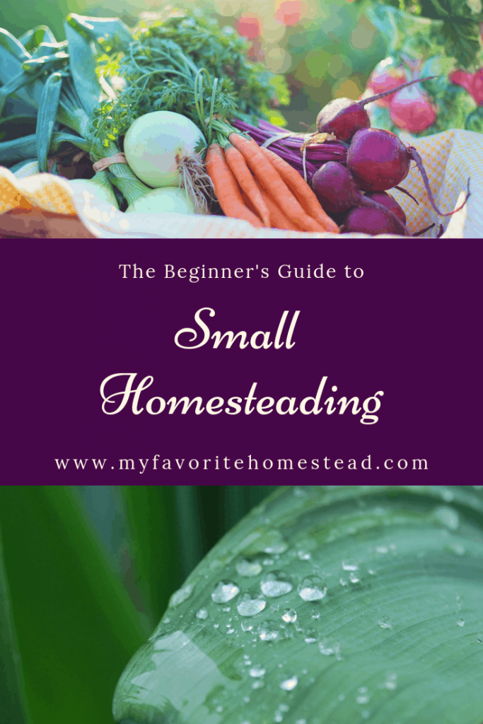 The Beginner's Guide to Small Homesteading