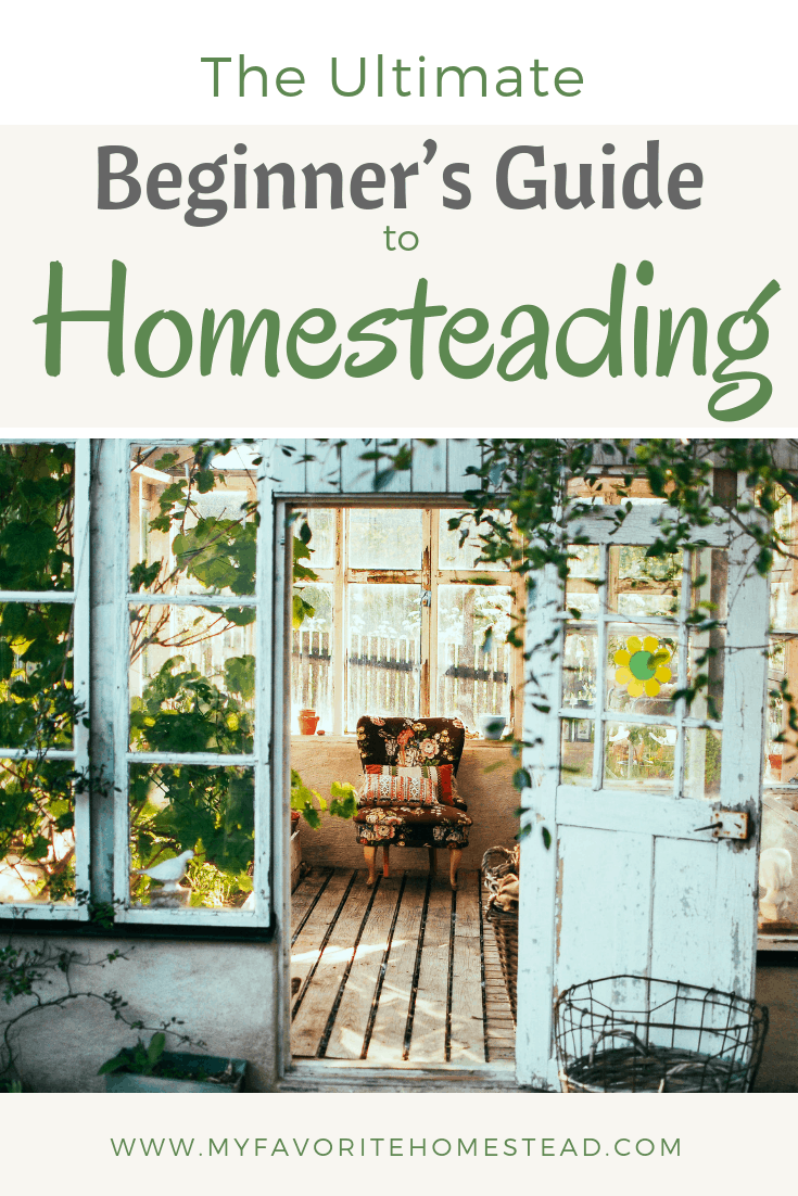 Small Homesteading: The Beginner's Guide