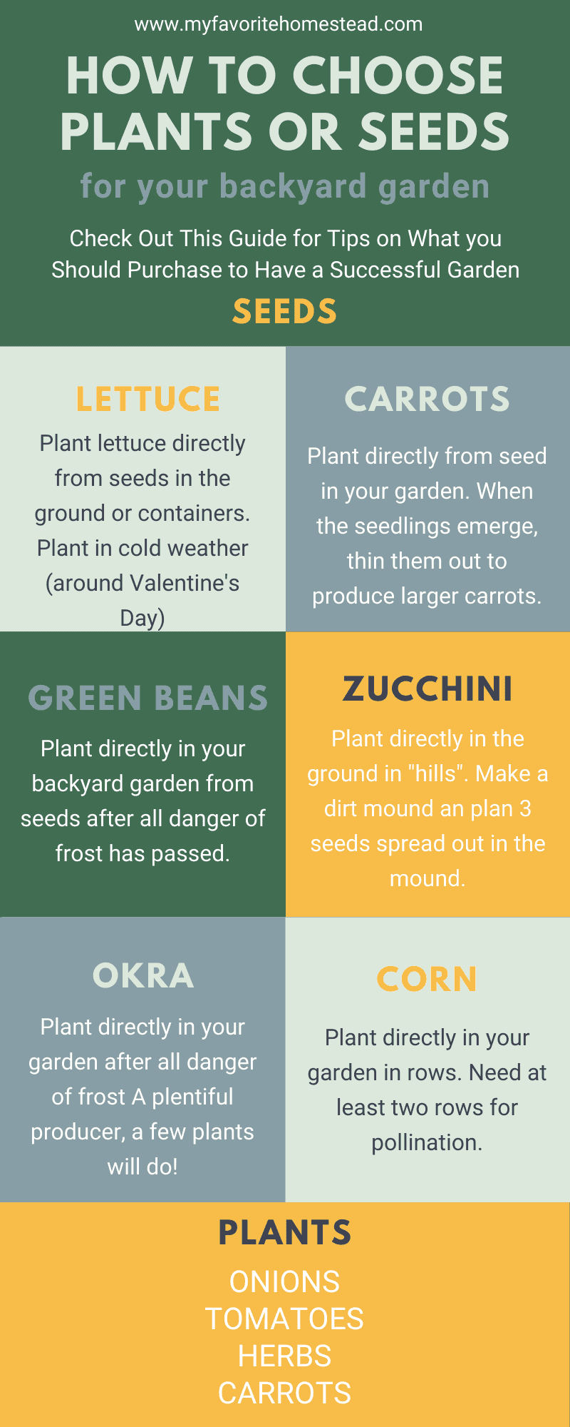 Seeds or Plants: Which Should You Choose?