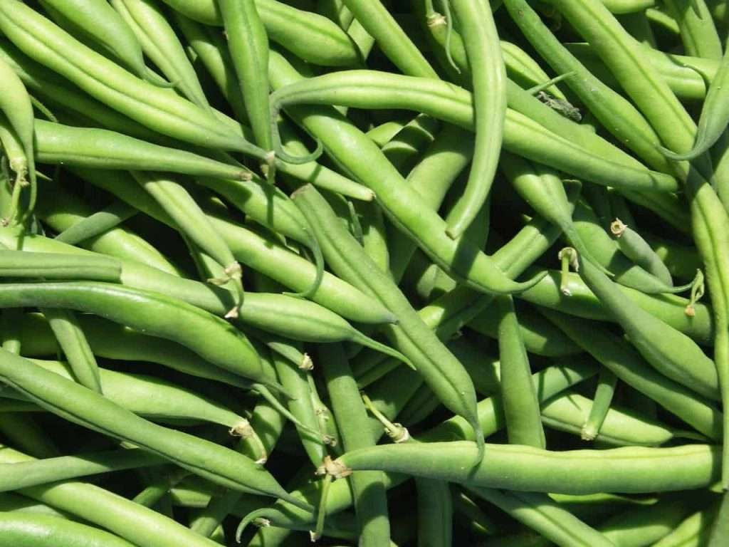 green beans