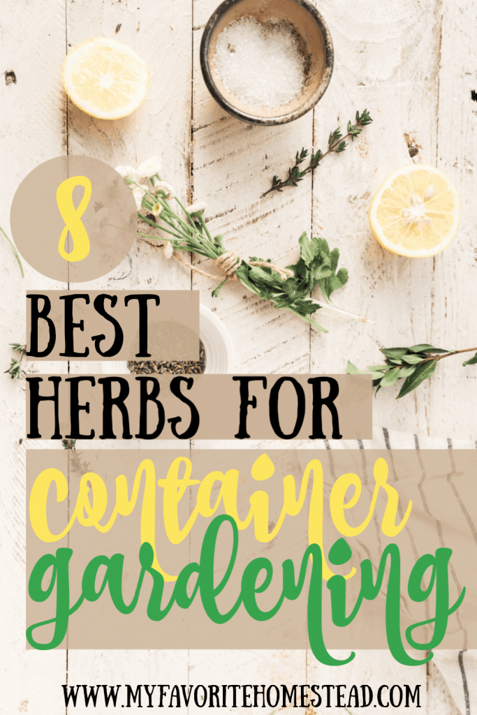 8 best herbs for container gardening