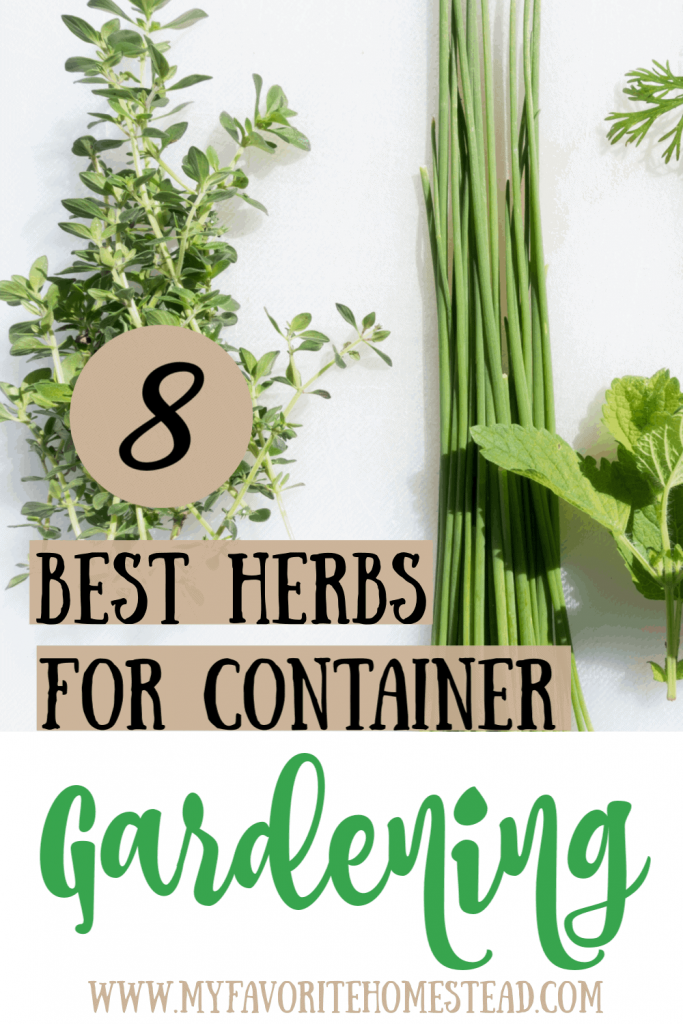 8 best herbs for container gardening