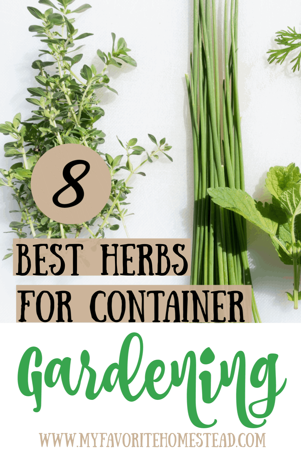 Herb Container Gardening - My Favorite Homestead