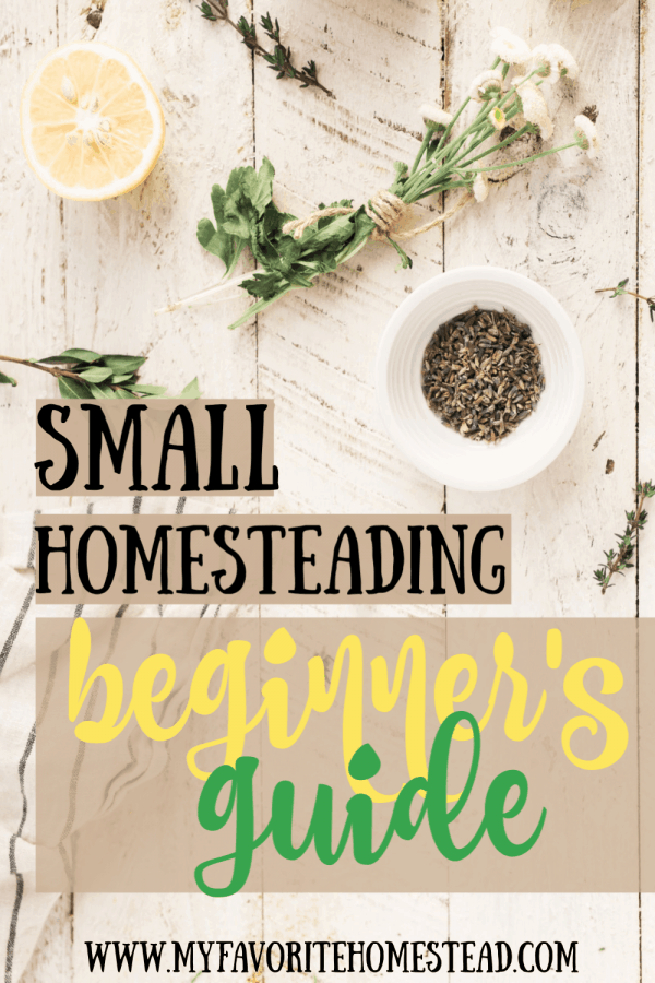 Small Homesteading Beginner's Guide