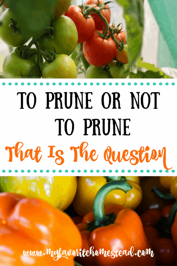 To Prune or Not to Prune That is the Question