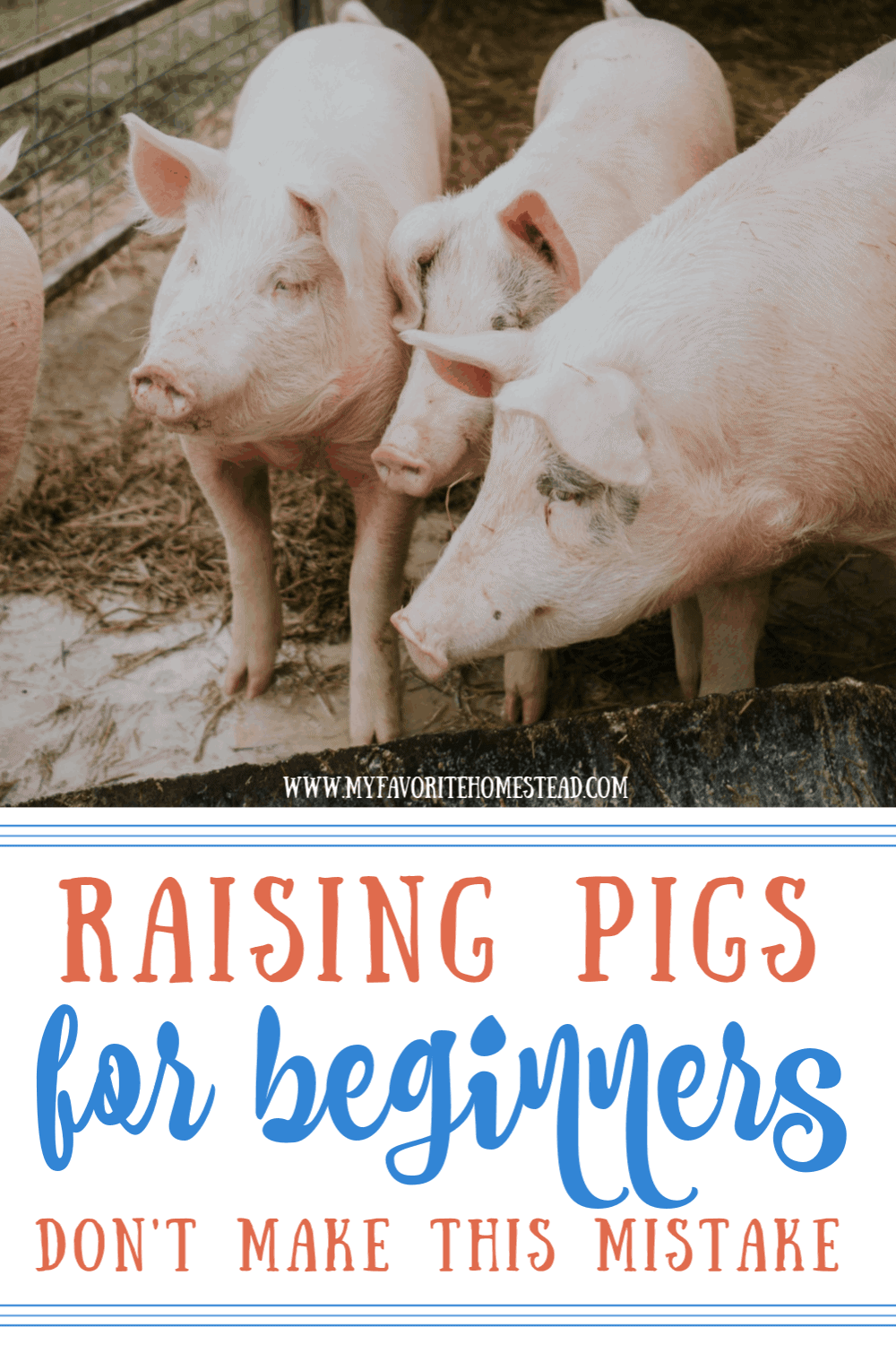 top-mistake-raising-pigs-my-favorite-homestead