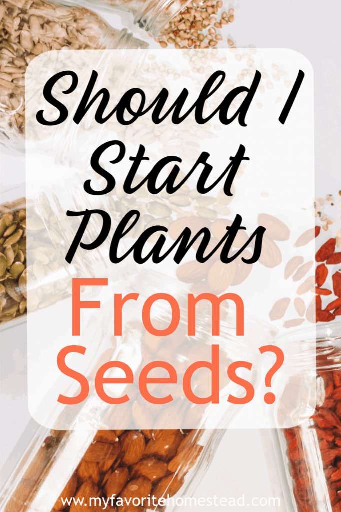 Should I Start My Plants from Seeds?