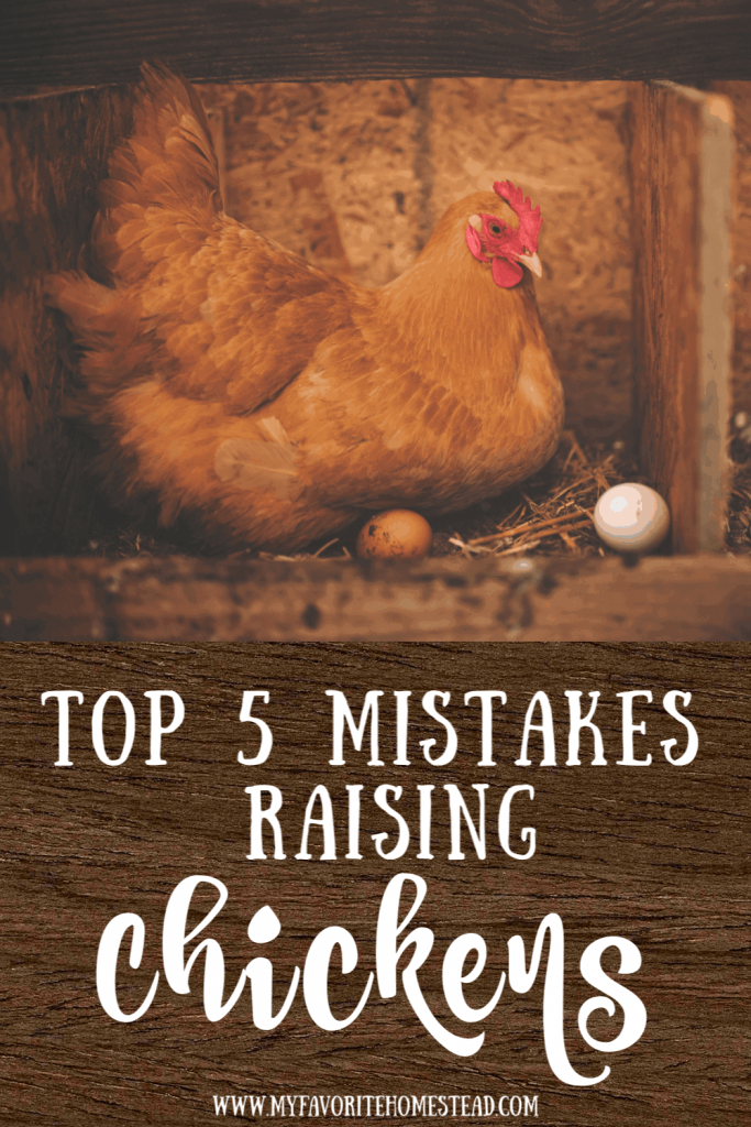 Top 5 Mistakes Raising Chickens