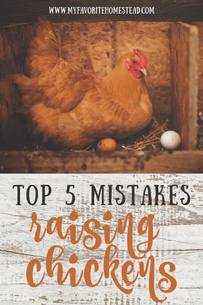 Mistakes Raising Chickens