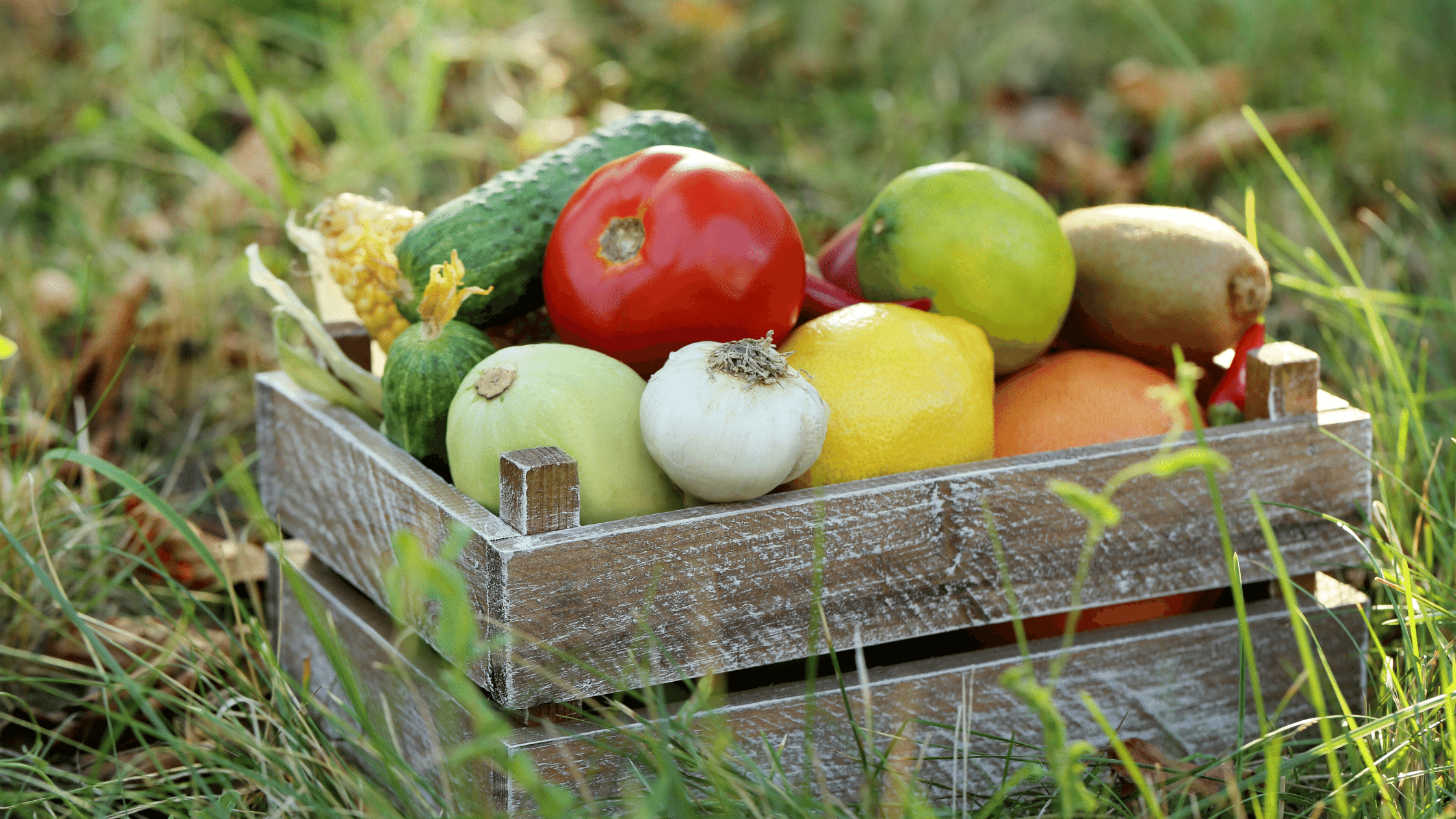 Growing Food in the Wrong Season Can Affect the Taste