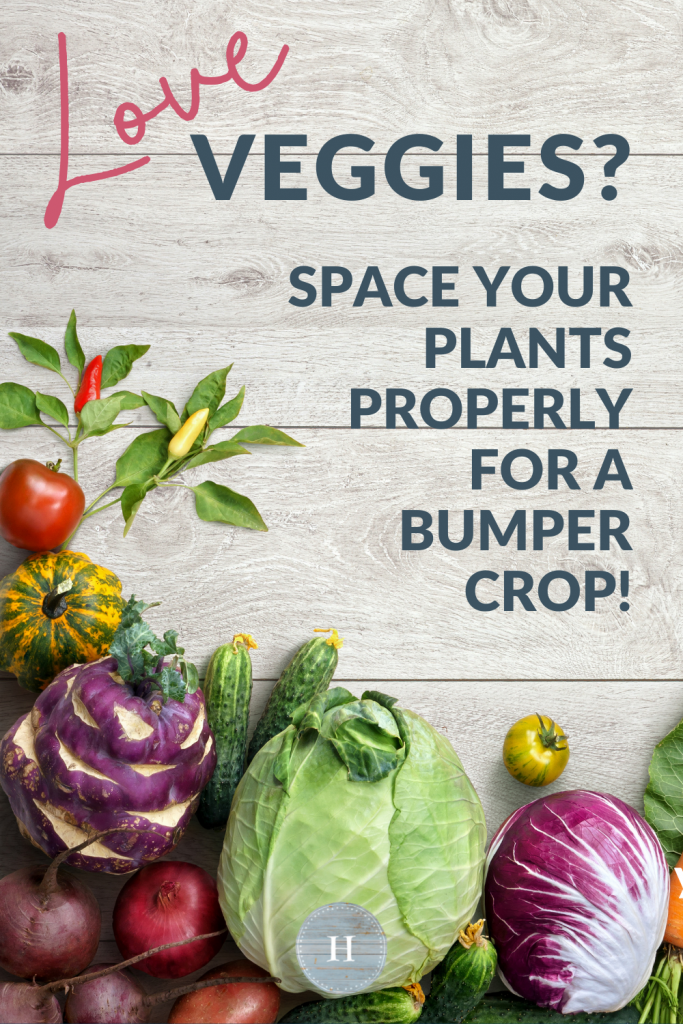 Looking to get the most out of your backyard veggie garden this growing season? Understand how much space your plants will need to plant the right amount and increase yield. Growing vegetable plants and reaping the harvest is a rewarding experience. Not only will your family thank you for these fresh veggies, so will your waistline!