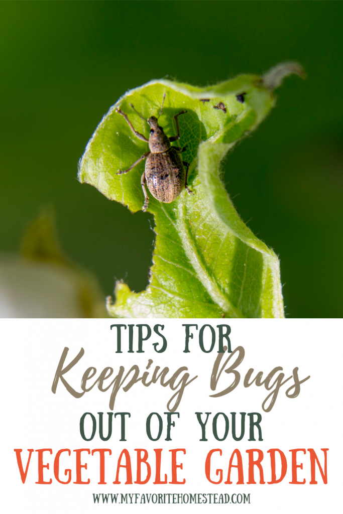 Ready to learn about keeping bugs out of your backyard vegetable garden, without those pesky bugs eating your vegetables? In this article, we explain the tips for ridding your garden of unwanted insects and provide organic gardening tips, perfect for beginning gardeners and homesteaders. Tap to read more from My Favorite Homestead | Gardening and Homesteading Tips