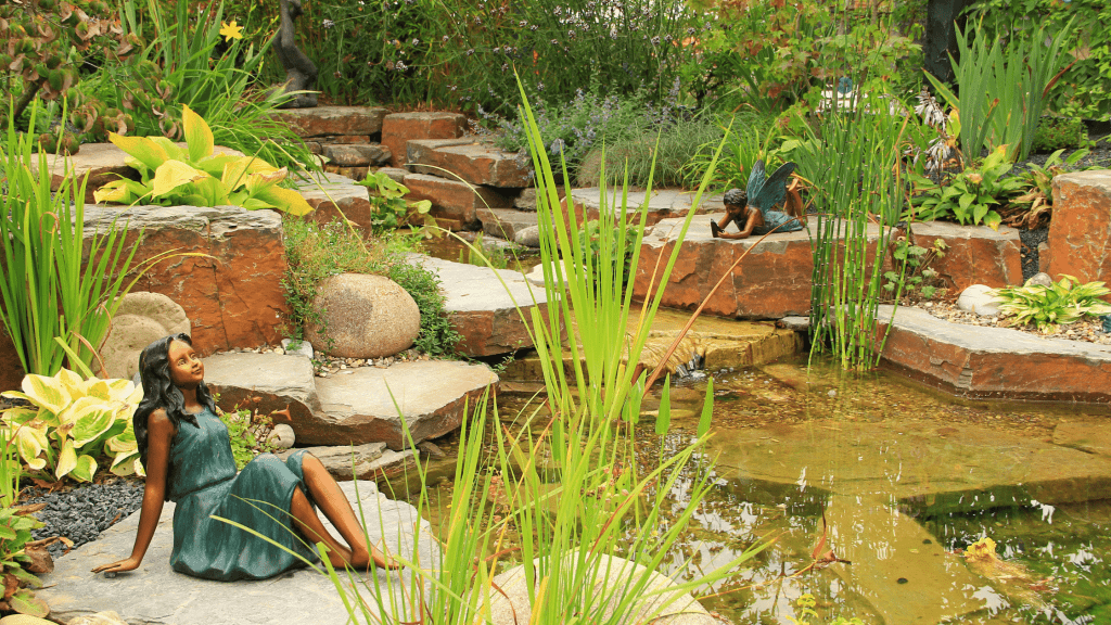 Create a Backyard Oasis with a Water Garden – My Favorite Homestead