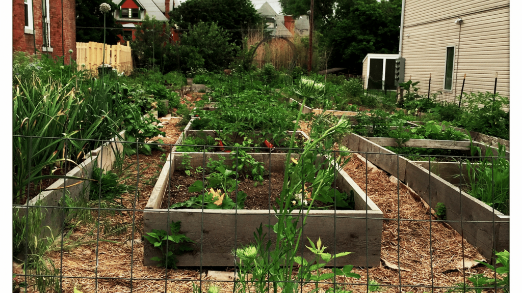 urban homesteading