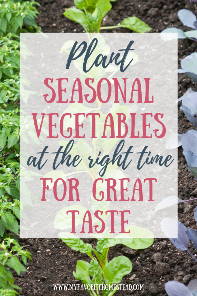 Ready to grow food in the right season, so those vegetables don't taste bland? In this article, we explain how planting vegetables by season and vegetable garden planning can produce tasty vegetables, perfect for beginning gardeners and homesteaders. Tap to read more from My Favorite Homestead | Gardening and Homesteading Tips