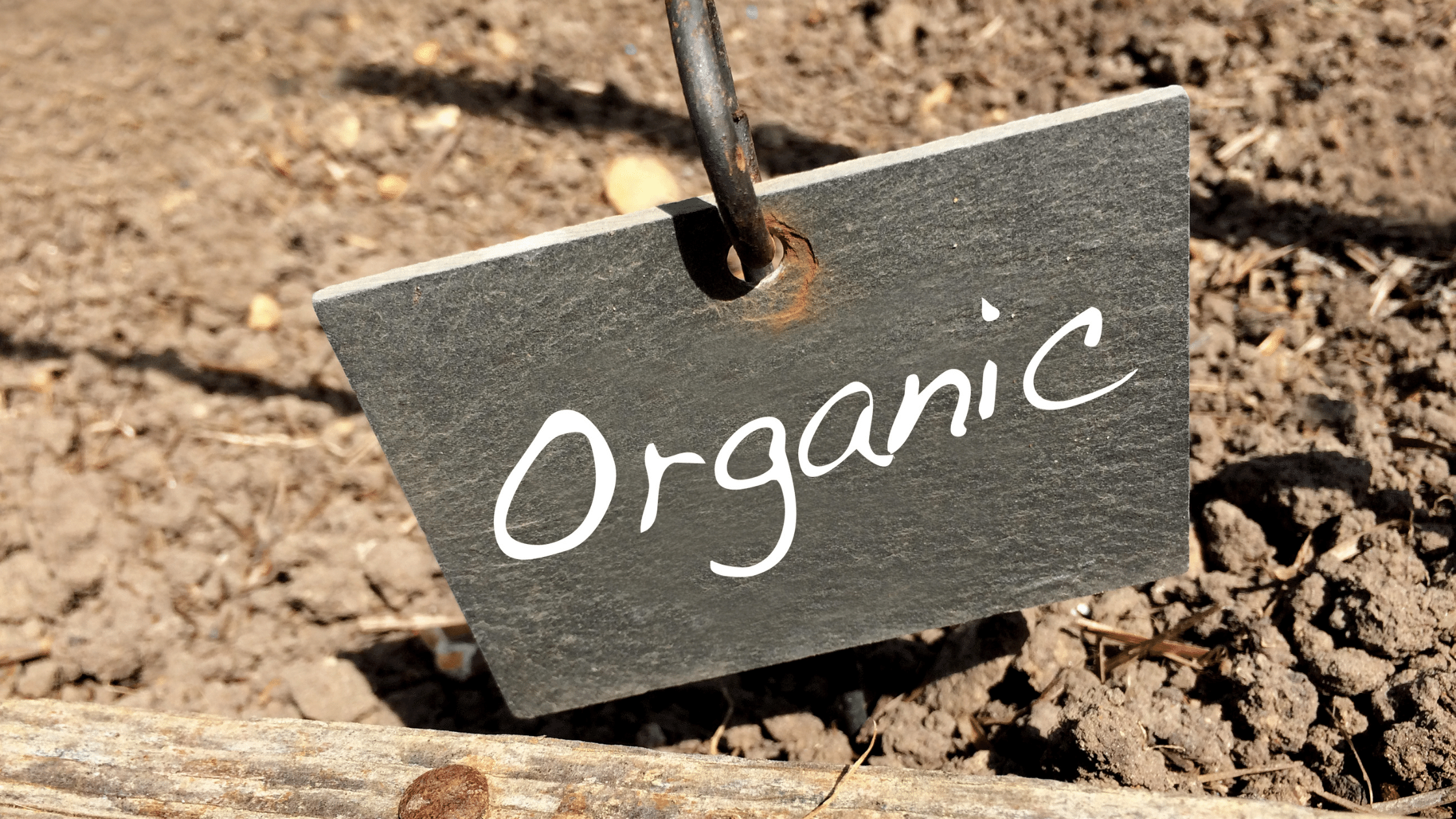Grow a Healthy Organic Garden