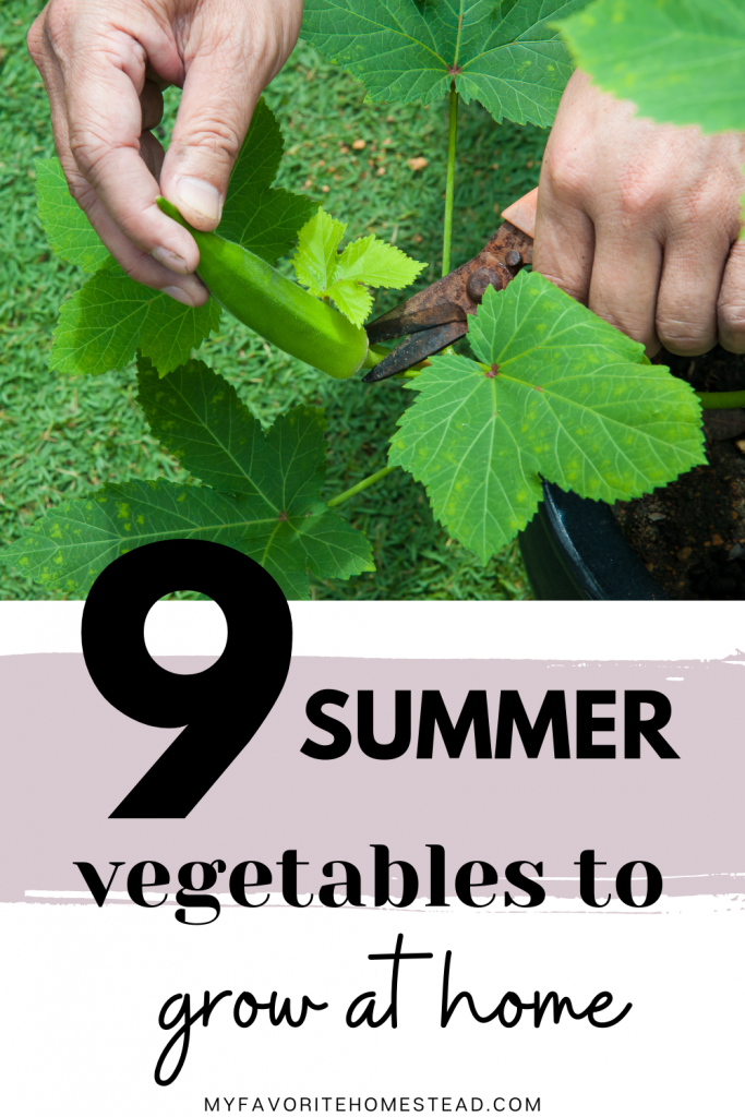 Looking for heat resistant plants, without your hard work going down the drain? In this article, we explain heat tolerant plants for your summer garden and that survive the summer heat, perfect for beginner gardeners and homesteaders. Tap to read more from My Favorite Homestead | Gardening and Homesteading Tips