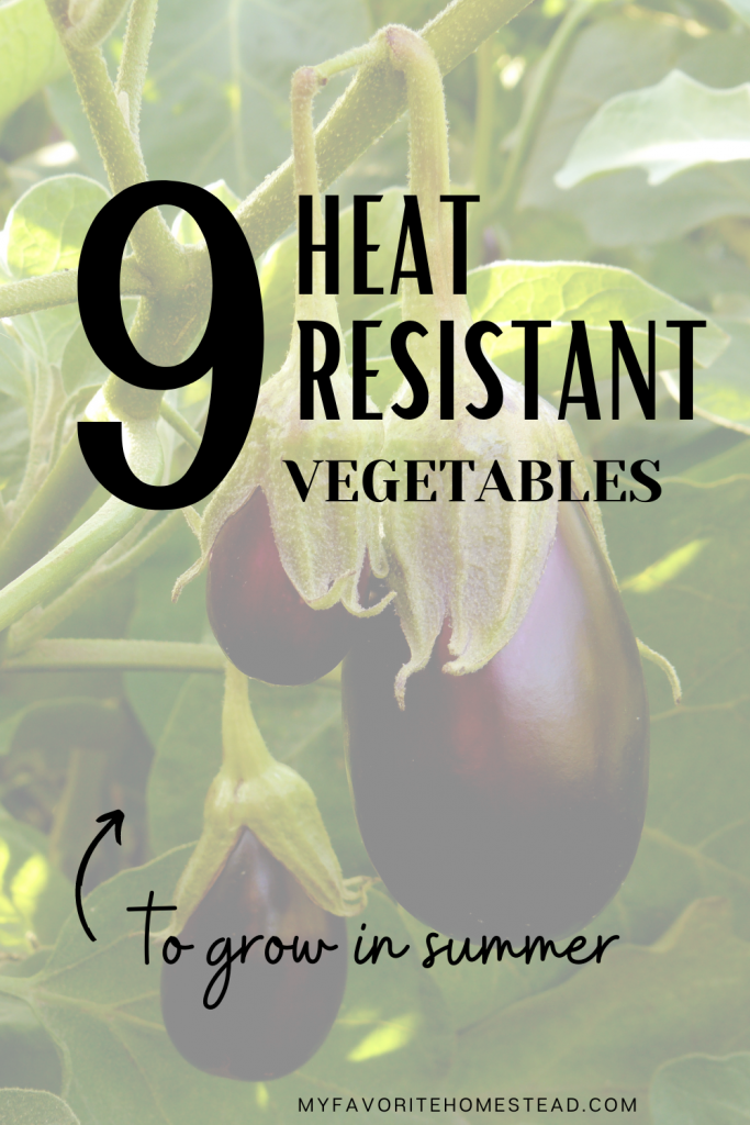 Looking for heat resistant vegetables for your hot climate, without having the plants die? In this article, we explain heat tolerant plants to grow and that survive hot climates, perfect for beginner gardeners and homesteaders. Tap to read more from My Favorite Homestead | Gardening and Homesteading Tips