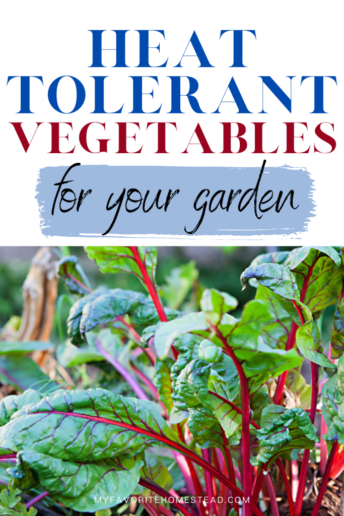 Looking for heat resistant vegetables to grow in summer, without having the plants die? In this article, we explain 9 heat tolerant plants to grow and that tolerate the blazing heat, perfect for beginner gardeners and homesteaders. Tap to read more from My Favorite Homestead | Gardening and Homesteading Tips