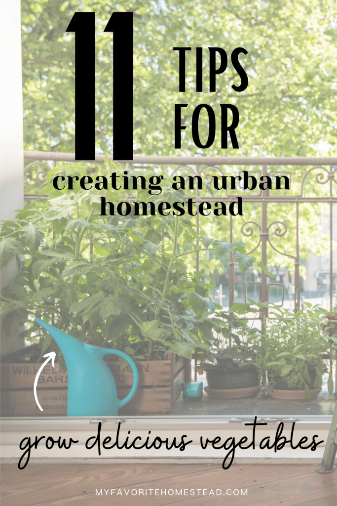 balcony garden with text "11 tips for creating an urban homestead"