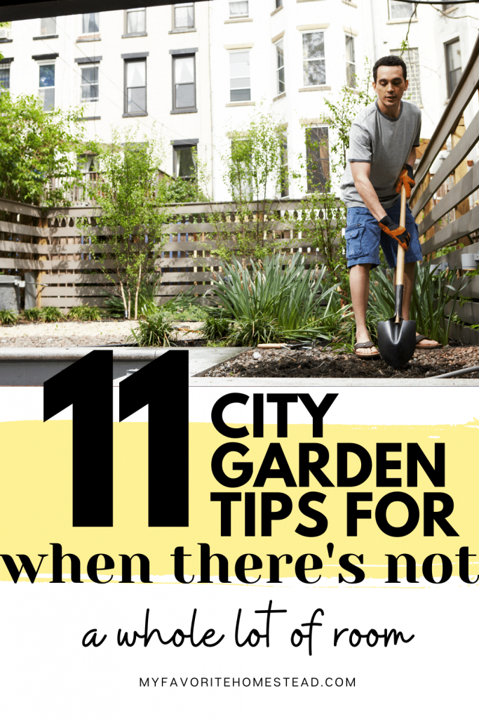man gardening in the city with text "11 city garden tips for when there's not a lot of room"