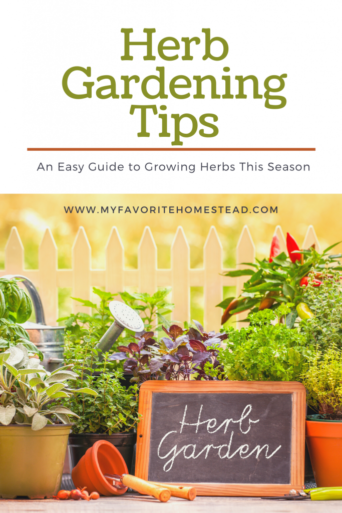 Ready to create an herb garden, without guessing what to plant? In this article, we explain how to plant an herb garden and take care of the garden, perfect for beginner gardeners. Tap to read more from myfavoritehomestead.com