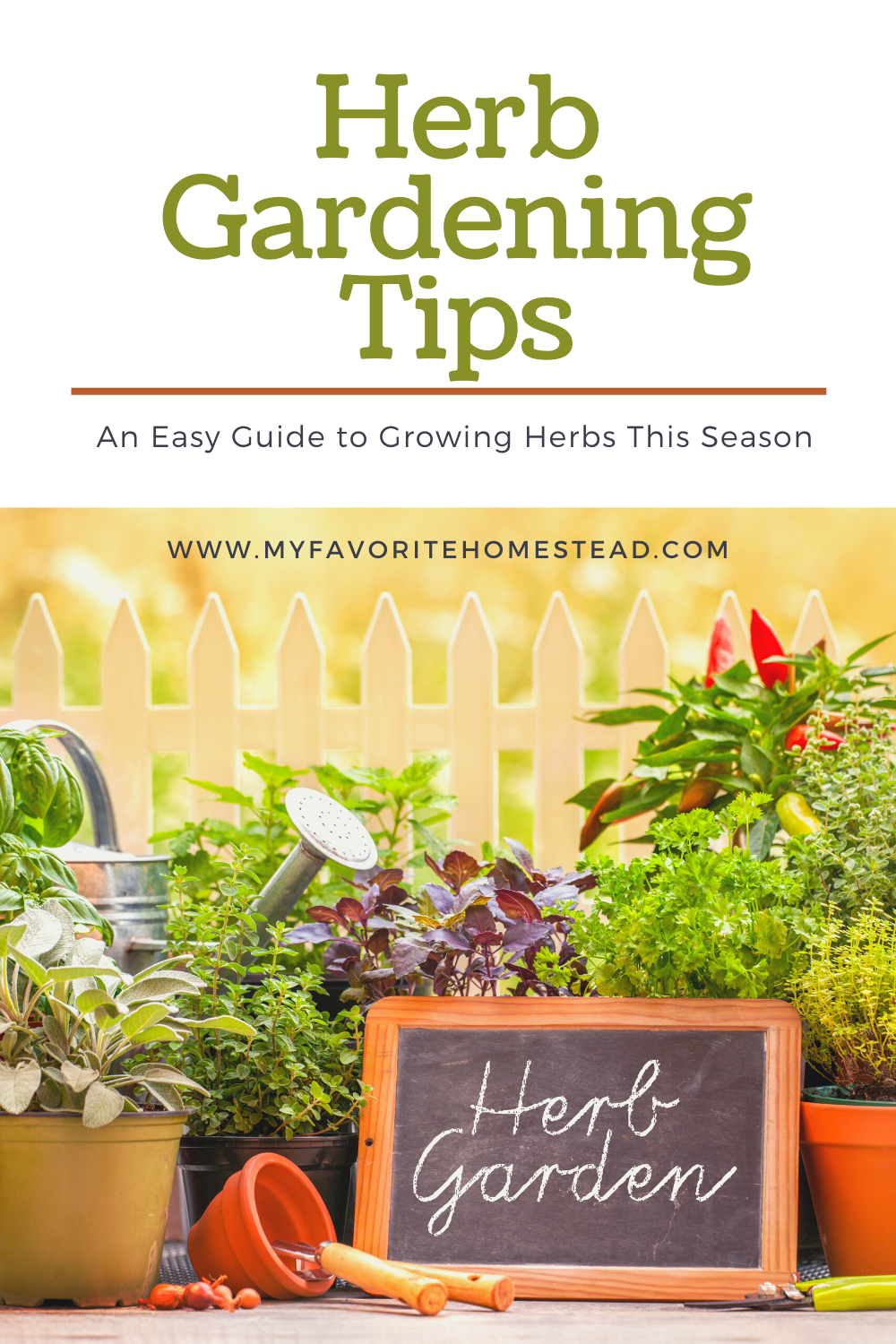 Herb Gardening Tips - My Favorite Homestead