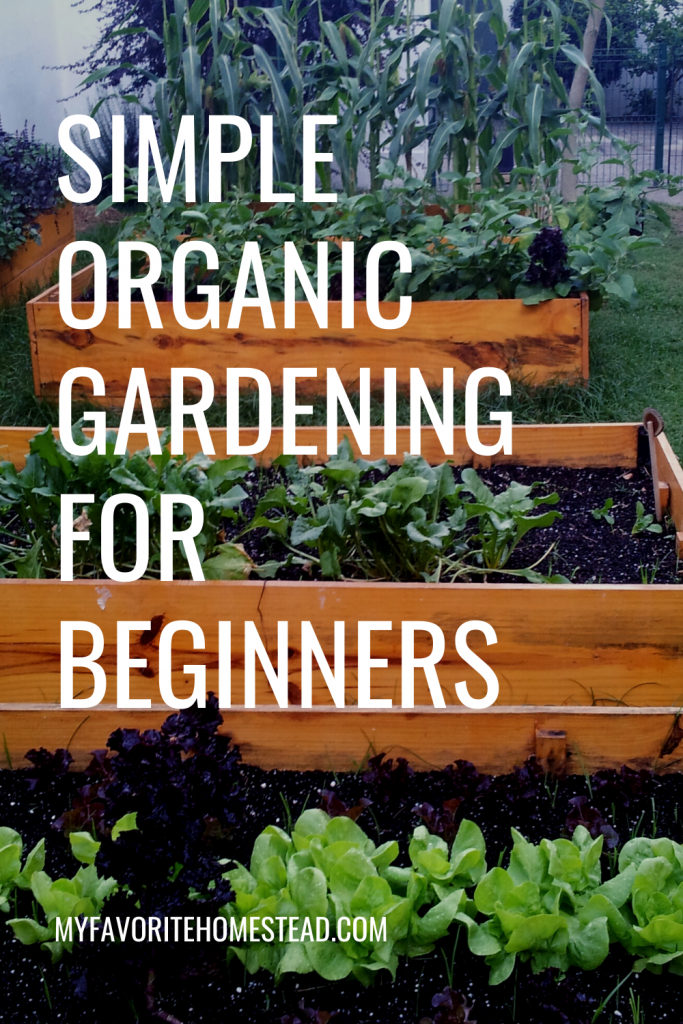 Ready to create an organic garden, without worrying about food treated with chemicals? In this article, we explain how to create an organic garden design and a garden without chemicals, perfect for beginner gardeners. Tap to read more from myfavoritehomestead.com