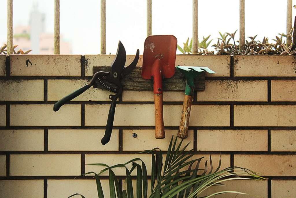 gardening tools set hanging on rack beside plant
