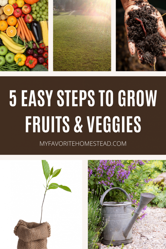 Are you looking to start your own vegetable garden? It's easier than you think! Follow these five easy steps and you'll be on your way to homegrown success. Before you know it, you'll be reaping the benefits of delicious, fresh produce. So what are you waiting for? Get started today!