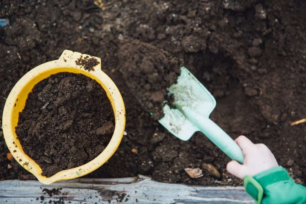 green garden shovel with compost