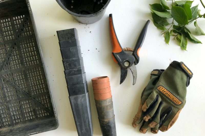 black pruning shears beside green gloves