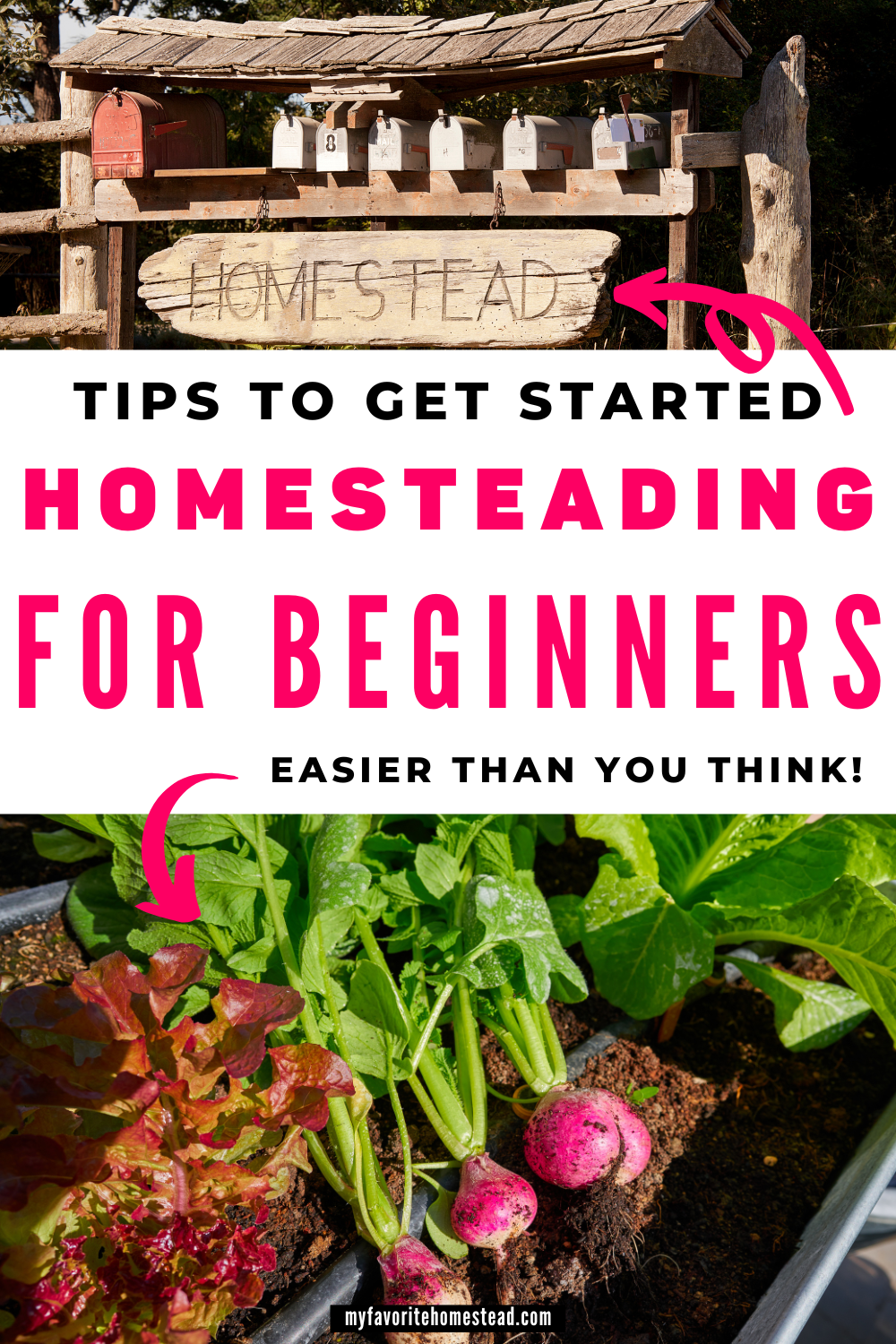 Homesteading for Beginners is Easier Than You Think – My Favorite Homestead