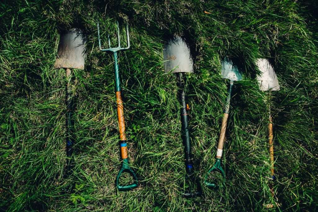 several shovels on grass